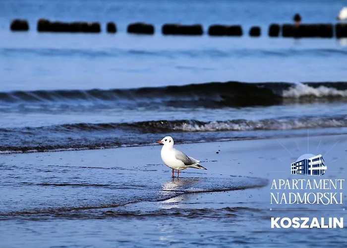 Apartament Nadmorski --netflix-wifi-100 Mbs -- *